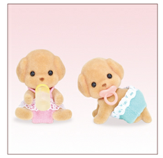 SF Toy Poodle Dog Twins